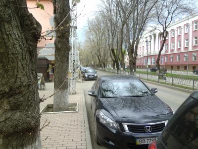 Прикрепленное изображение: P1030931.JPG